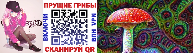 Галлюциногенные грибы Cubensis Новоалтайск